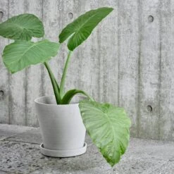 HAY Flowerpot And Saucer, L, Grey 6 HAY Flowerpot And Saucer, L, Grey -Hay 17NewHay HV 1