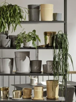 HAY Botanical Family Pot And Saucer, M, Light Grey 5 HAY Botanical Family Pot And Saucer, M, Light Grey -Hay Botanical Family New Order shelving system2C charcoal HAY Aarhus