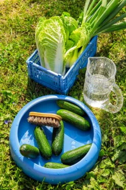 HAY Colour Crate, S, Recycled Plastic, Electric Blue -Hay FDS1ruoka