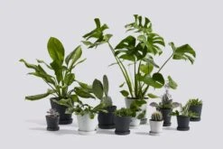 HAY Flowerpot And Saucer, M, Grey -Hay Flowerpot Family 2