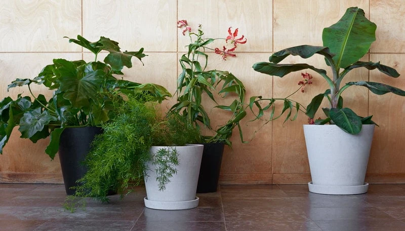 HAY Flowerpot And Saucer, XXXL, Black 2 HAY Flowerpot And Saucer, XXXL, Black - Image 2