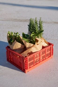 HAY Colour Crate, M, Recycled Plastic, Red -Hay HAY Colour Crate M red