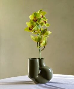 HAY W&S Chubby Vase, Olive Green -Hay HP 7 TM