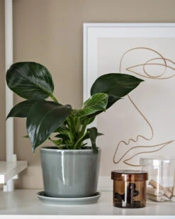 HAY Botanical Family Pot And Saucer, M, Dusty Green -Hay Home Office Design Stories x My Full House 13