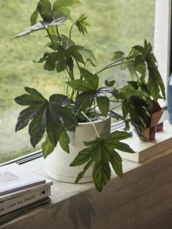 HAY Plant Pot With Saucer, XXL, White 5 HAY Plant Pot With Saucer, XXL, White -Hay Plant Pot with Saucer off white