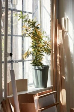 HAY Shade Bin, Dusty Green -Hay Shade Bin dusty green